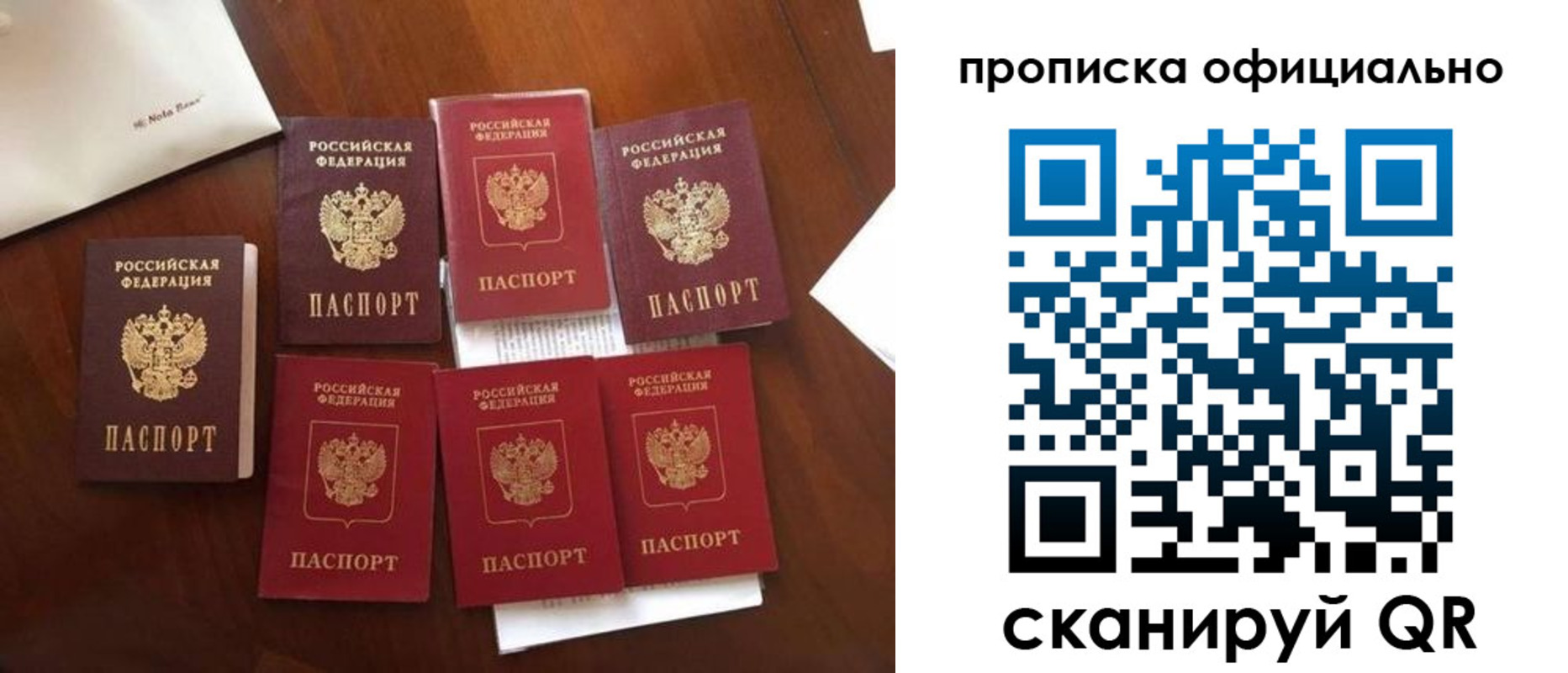 прописка законно в Фрязино